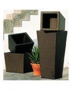 (yu)|(zh)Įa(chn)Ʒֵõȴ